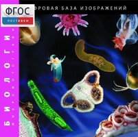 Биология. Микрофотографии. (Цифровая база изображений) - fgospostavki.ru - Воронеж