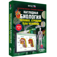 Наглядная биология. 8 - 9 классы. Человек. Строение тела человека - fgospostavki.ru - Воронеж