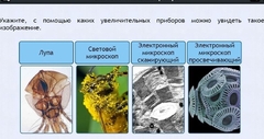 Интерактивные курсы. Биология 5 класс. Расширенный - fgospostavki.ru - Воронеж