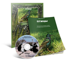 Электронное наглядное пособие «Птицы» - fgospostavki.ru - Воронеж