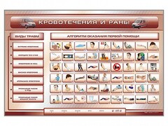 Трехсекционный базовый комплект "Травмы. Кровотечения. Ожоги" для учащихся общеобразовательных учреждений - fgospostavki.ru - Воронеж