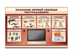 Многофункциональный интерактивный стенд-тренажер "Оказание первой помощи пострадавшим" для учащихся общеобразовательных учреждений - fgospostavki.ru - Воронеж