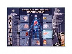 Электрифицированный стенд "Вредные привычки: наркомания" - fgospostavki.ru - Воронеж