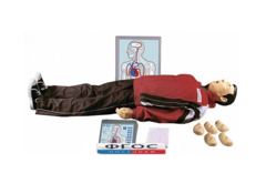 "Максим III-01" тренажер сердечно-легочной и мозговой реанимации - fgospostavki.ru - Воронеж