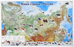 Магнитные карточки "Животные" - fgospostavki.ru - Воронеж