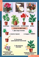 Комплект таблиц. Окружающий мир 1 класс. - fgospostavki.ru - Воронеж