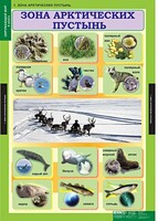 Комплект таблиц. Окружающий мир 4 класс. - fgospostavki.ru - Воронеж