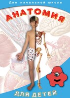 DVD "Анатомия для детей" - fgospostavki.ru - Воронеж