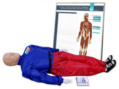 "Александр-01" тренажер-манекен взрослого пострадавшего для отработки приемов сердечно-легочной реанимации (голова, туловище, конечности) с контроллером и настенным табло - fgospostavki.ru - Воронеж