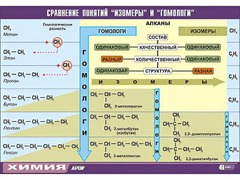 Таблица демонстрационная "Сравнение понятий изомер и гомолог" (винил 70x100) - fgospostavki.ru - Воронеж