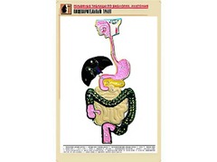 Рельефная таблица "Пищеварительный тракт" (формат А1, матовое ламинирование) - fgospostavki.ru - Воронеж