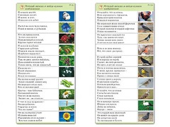 Комплект карточек (10) "Обучающий калейдоскоп. Природа" - fgospostavki.ru - Воронеж