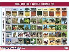 Таблица демонстрационная "Почвы, растения и животные природных зон" (винил 100*140) - fgospostavki.ru - Воронеж