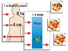 Модель-аппликация "Явление радиоактивности" (ламинированная) - fgospostavki.ru - Воронеж