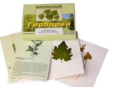 Гербарий "Систематика растений. Высшие споровые и семенные" (раздаточный) - fgospostavki.ru - Воронеж