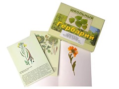 Гербарий "Систематика растений. Семейство Пасленовые. Крестоцветные. Сложноцветные" (раздаточный) - fgospostavki.ru - Воронеж