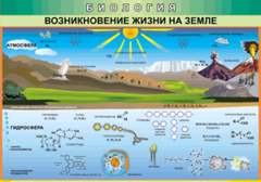 Таблица "Возникновение жизни на земле" (100х140 сантиметров, винил) - fgospostavki.ru - Воронеж
