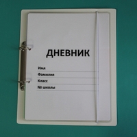 Дневник школьника (с полным набором карточек) - fgospostavki.ru - Воронеж