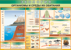 Таблица "Организмы и среды их обитания" (100х140 сантиметров, винил) - fgospostavki.ru - Воронеж