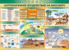 Таблица "Антропогенное воздействие на биосферу" (100х140 сантиметров, винил) - fgospostavki.ru - Воронеж