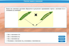 Интерактивные курсы. Биология 11 класс. Базовый. - fgospostavki.ru - Воронеж