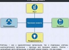 Интерактивные курсы. Биология 5 класс. Базовый - fgospostavki.ru - Воронеж
