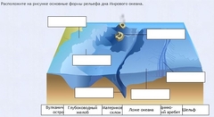 Интерактивные курсы. География 7 класс . Базовый. - fgospostavki.ru - Воронеж