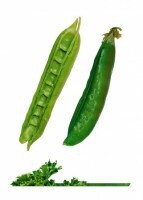 Комплект карточек "Запоминай, играй, считай" -  Овощи - fgospostavki.ru - Воронеж