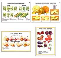 Плакаты ПРОФТЕХ "Ассортимент овощных культур" (12 пл, винил, 70х100) - fgospostavki.ru - Воронеж