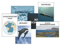 Модель-аппликация "Океаны. Знакомство" (ламинированная) - fgospostavki.ru - Воронеж