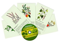 Интерактивный наглядный комплекс "Гербарий "Для начальной школы" - fgospostavki.ru - Воронеж
