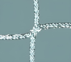 Сетка заградительная (нить 3,5 миллиметров, ячейка 100х100 миллиметров) - fgospostavki.ru - Воронеж