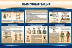Стенд "Иммобилизация" - fgospostavki.ru - Воронеж