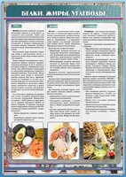 Стенд "Белки. Жиры. Углеводы" - fgospostavki.ru - Воронеж