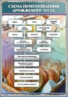 Стенд "Схема приготовления дрожжевого теста" - fgospostavki.ru - Воронеж