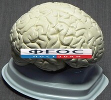 Модель "Мозг в разрезе" (белый) - fgospostavki.ru - Воронеж