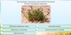 Интерактивные курсы. Окружающий мир 3 класс . Базовый. - fgospostavki.ru - Воронеж