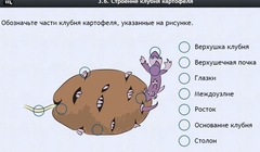 Интерактивные курсы. Биология 6 класс. Расширенный - fgospostavki.ru - Воронеж