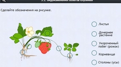 Интерактивные курсы. Биология 7 класс. Расширенный. - fgospostavki.ru - Воронеж