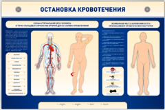Электрифицированный стенд-тренажер "Остановка кровотечения" - fgospostavki.ru - Воронеж