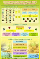 Стенд "Классификация животного мира" - fgospostavki.ru - Воронеж