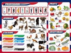 Стенд "Цвета, животные, профессии, фрукты, овощи" - fgospostavki.ru - Воронеж