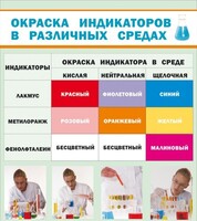 Стенд "Окраска индикаторов в различных средах" - fgospostavki.ru - Воронеж