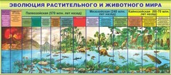 Стенд "Эволюция растительного и животного мира" - fgospostavki.ru - Воронеж