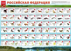Стенд "Красная книга РФ" - fgospostavki.ru - Воронеж