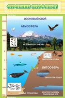 Стенд "Строение биосферы" - fgospostavki.ru - Воронеж