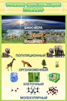 Стенд "Уровни организации живого" - fgospostavki.ru - Воронеж