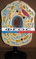 Модель "Клетка животного" - fgospostavki.ru - Воронеж
