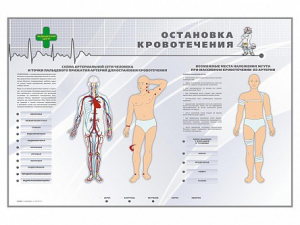Электрифицированный стенд "Остановка кровотечения" - fgospostavki.ru - Воронеж