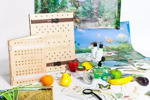 Учебно-методический набор для проектной деятельности в ДОО №1–ЕН (химия, биология, анатомия)  - fgospostavki.ru - Воронеж